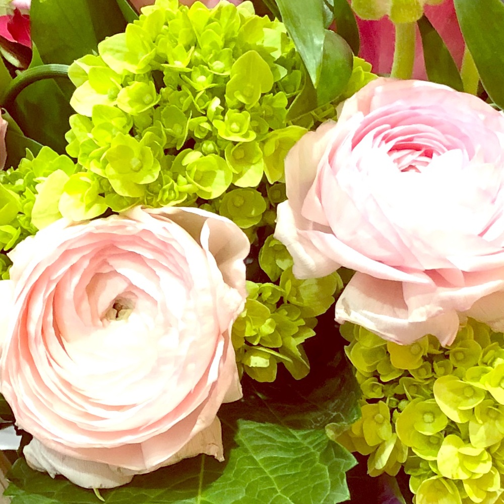 Meet your Posher, Ms. Lina